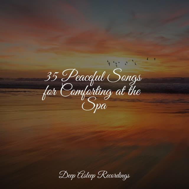 35 Peaceful Songs for Comforting at the Spa - Study Music