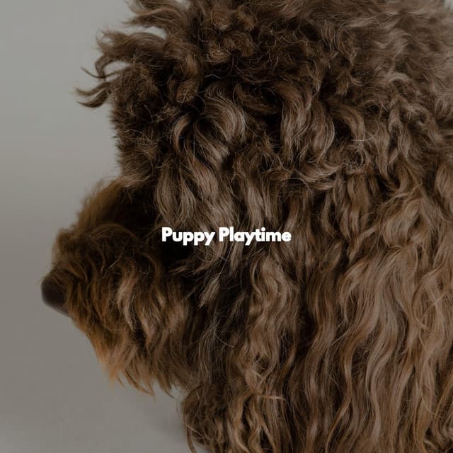 Puppy Playtime - Jazz Relajante