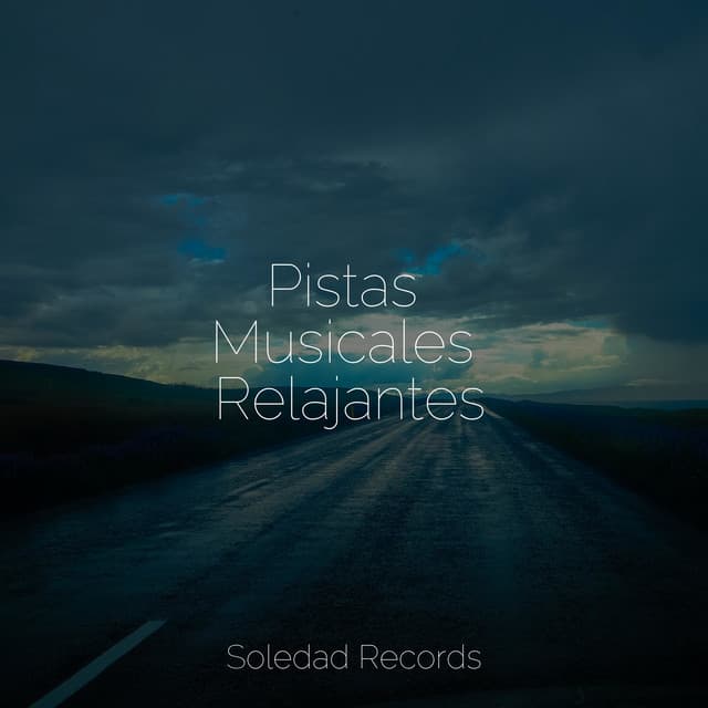 Pistas Musicales Relajantes - Musica para Meditar Especialistas