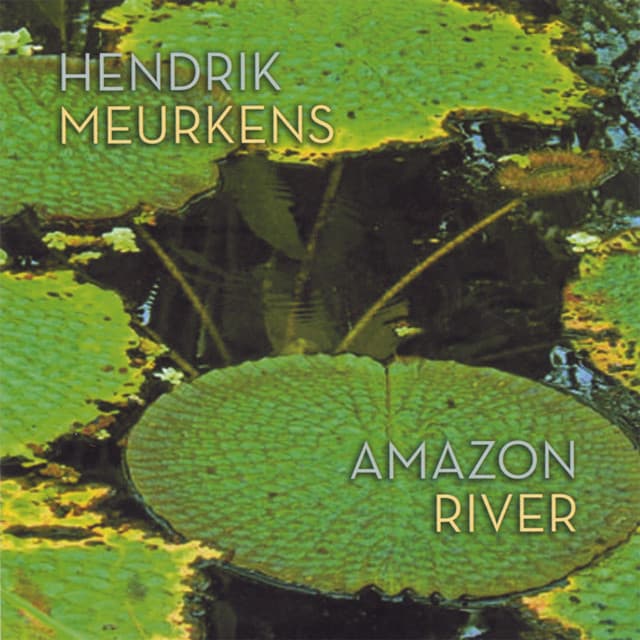 Amazon River - Hendrik Meurkens