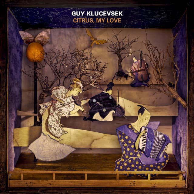 Guy Klucevsek