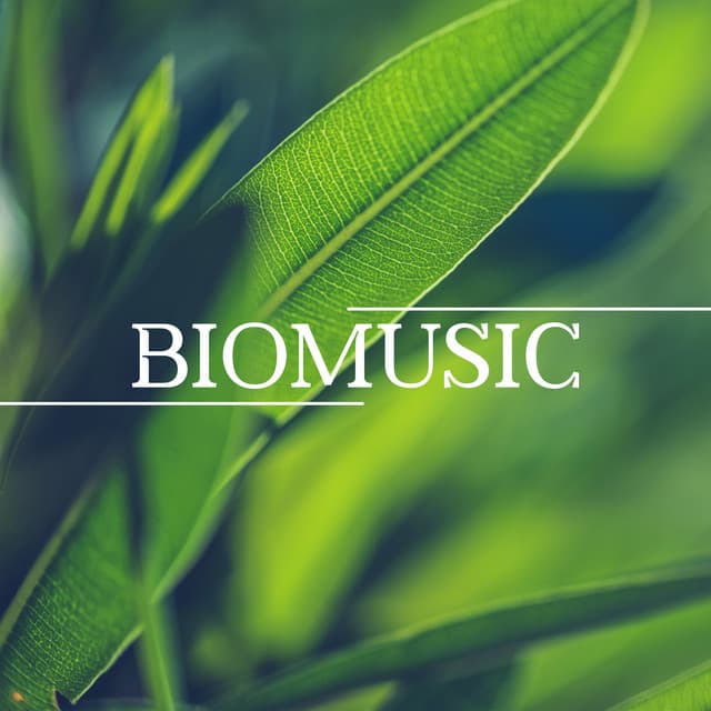 Biomusic - Beth Souls
