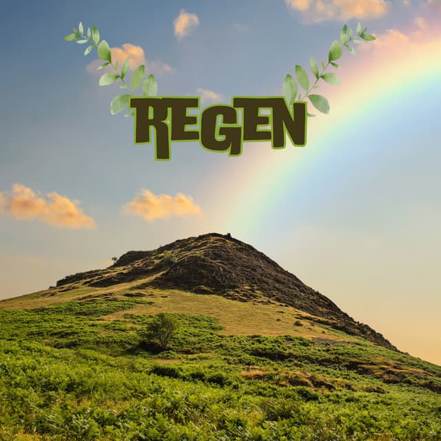 Naturify - Regengeräusche