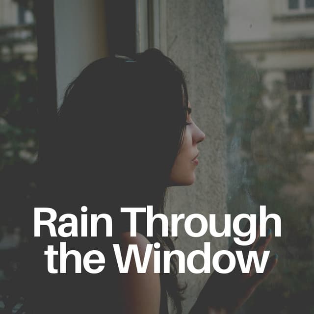 Rain Through the Window - Pro Sound Effects Library