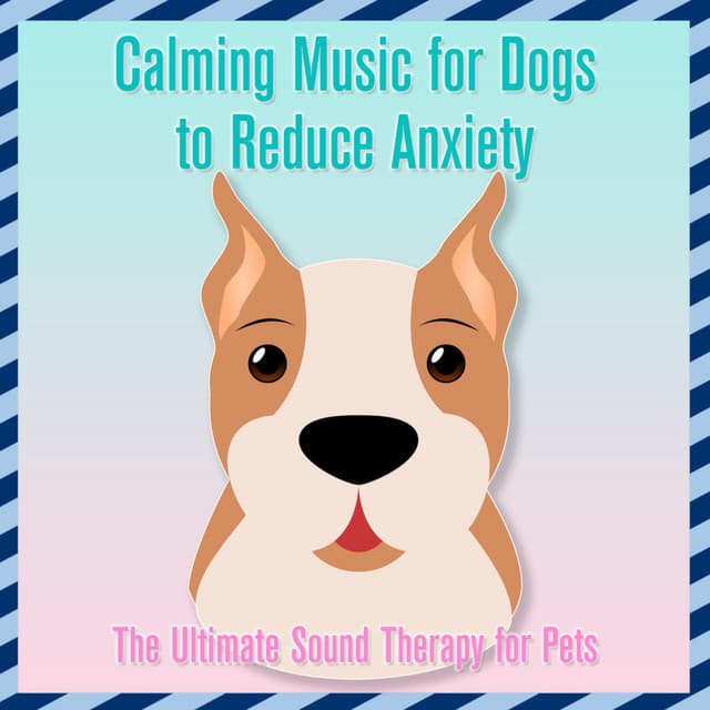 Calming Music for Dogs to Reduce Anxiety : The Ultimate Sound Therapy for Pets - Relaxmydog