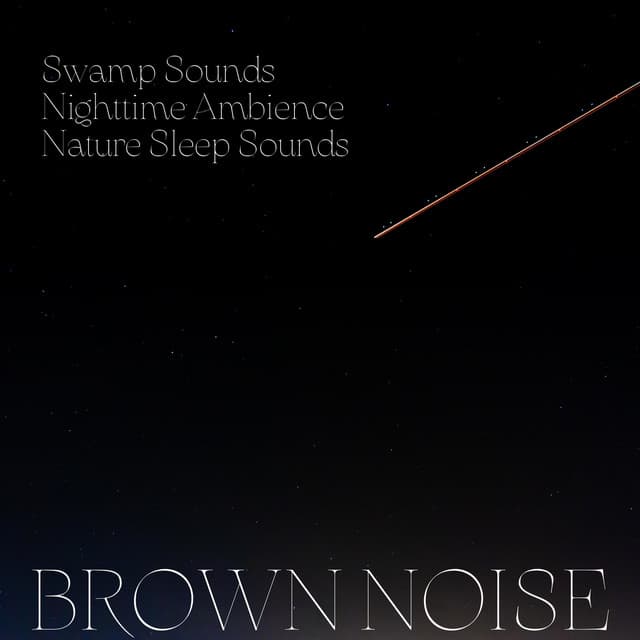 Swamp Sounds, Nighttime Ambience, Nature Sleep Sounds, Brown Noise, Loopable - Noise Colours