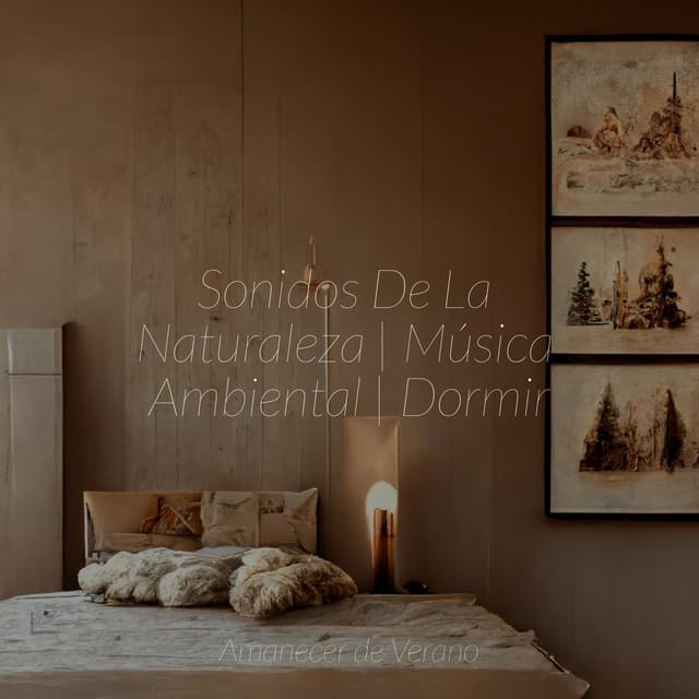 Sonidos De La Naturaleza | Música Ambiental | Dormir - New Age