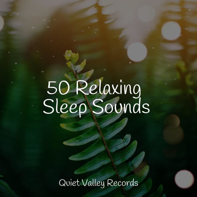 50 Relaxing Sleep Sounds - Schlaflieder Relax