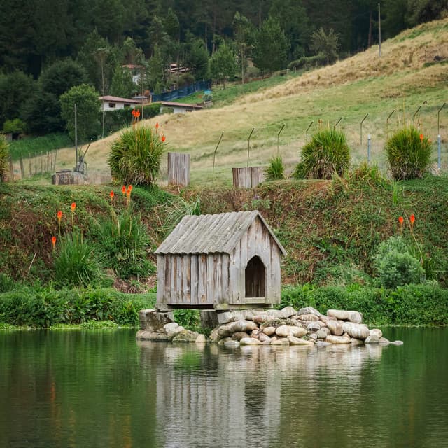 1 Coastal Eve: The Great Beyond - Nature Sound Collection