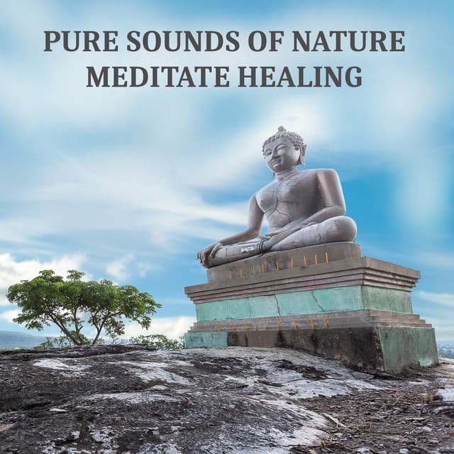 Pure Sounds of Nature - Meditate Healing Music for Yoga and Relaxation, Massage, Spa - Ultimate Music Academy