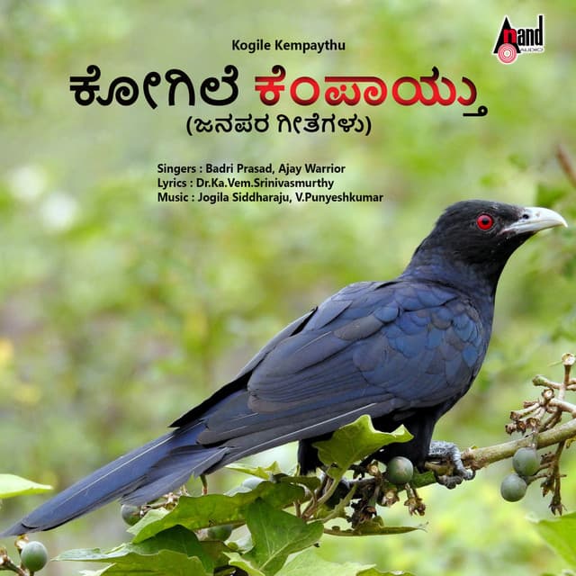 Jogila Siddharaju