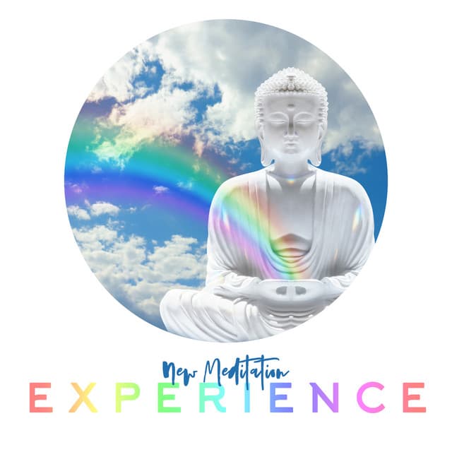New Awareness Experience - Elizabeth Mor