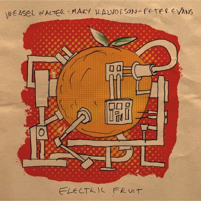 Electric Fruit - Mary Halvorson