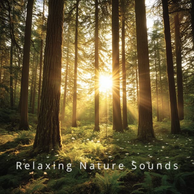 Dreamy Nature: Sounds for Peaceful Sleep - Relaxing Nature Sounds