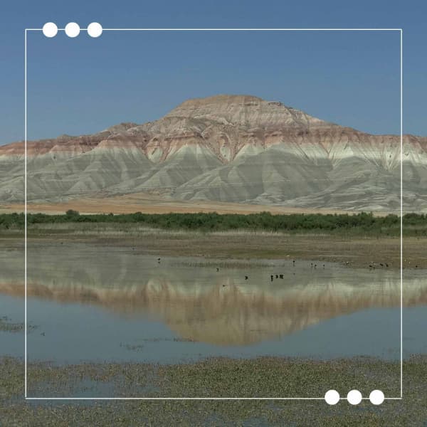 Delightful - Happy Coffee Shop Music