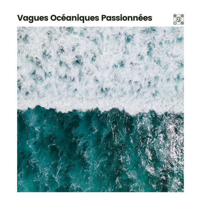 Vagues Océaniques Passionnées - Vagues Dans La Mer