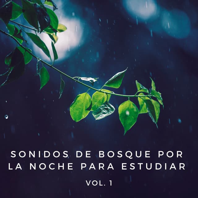 Sonidos De Bosque Por La Noche Para Estudiar Vol. 1 - Sonido Del Bosque y Naturaleza