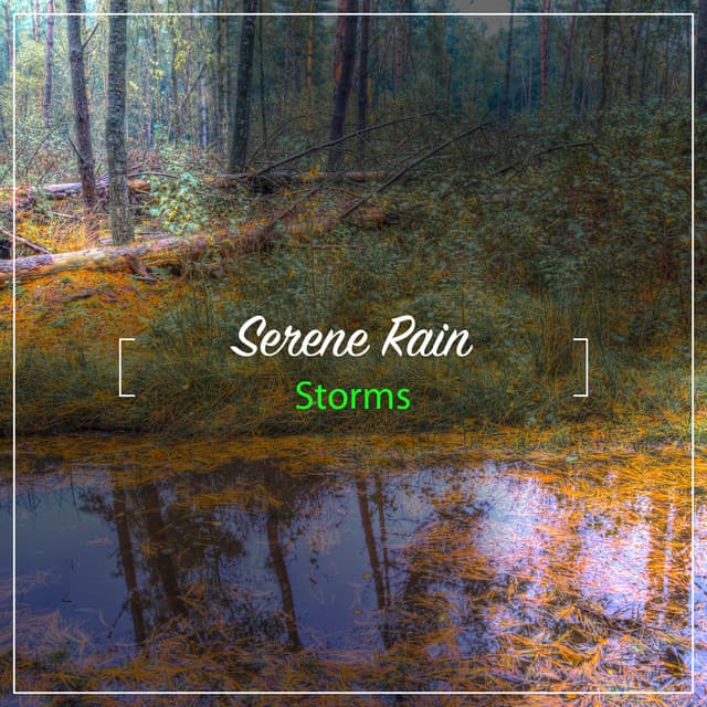 10 Serene Rain Storms for Study & Reflection - Deep Rain Sampling