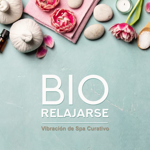 Bio Relajarse - Vibración de Spa Curativo - Academia de Música para SPA