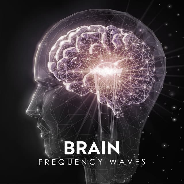 Brain Frequency Waves: Cleansing the Aura Before Study - Exam Study Songs Masters