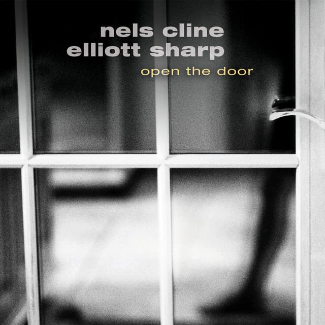 Open the Door - Nels Cline