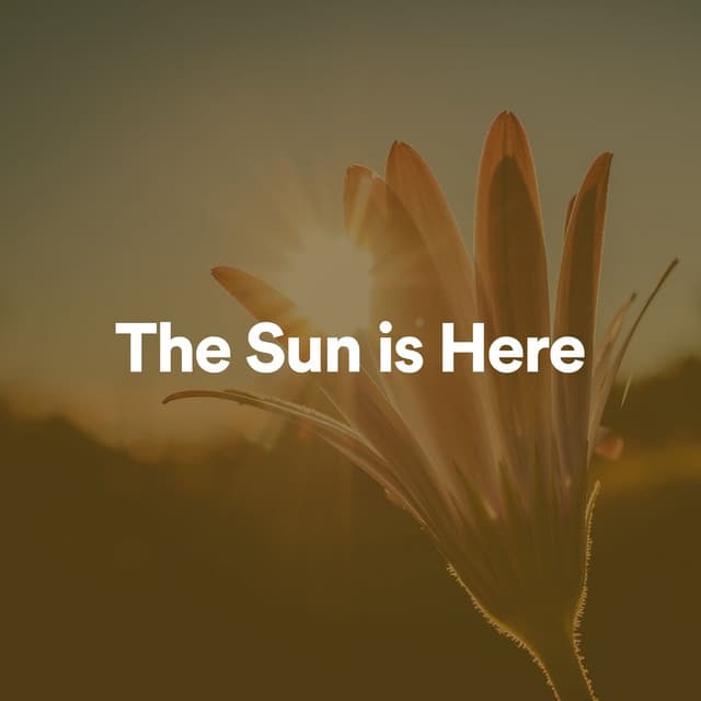 The Sun Is Here - Instrumental Sleeping Music