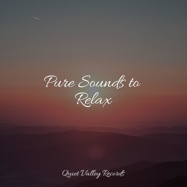 Pure Sounds to Relax - Relajación