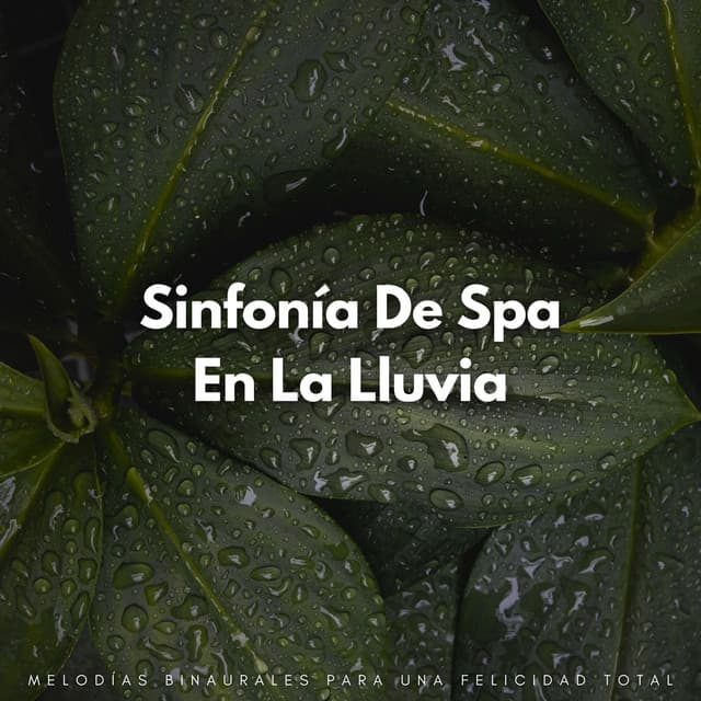 Sinfonía De Spa En La Lluvia: Melodías Binaurales Para Una Felicidad Total - Palacio de la lluvia