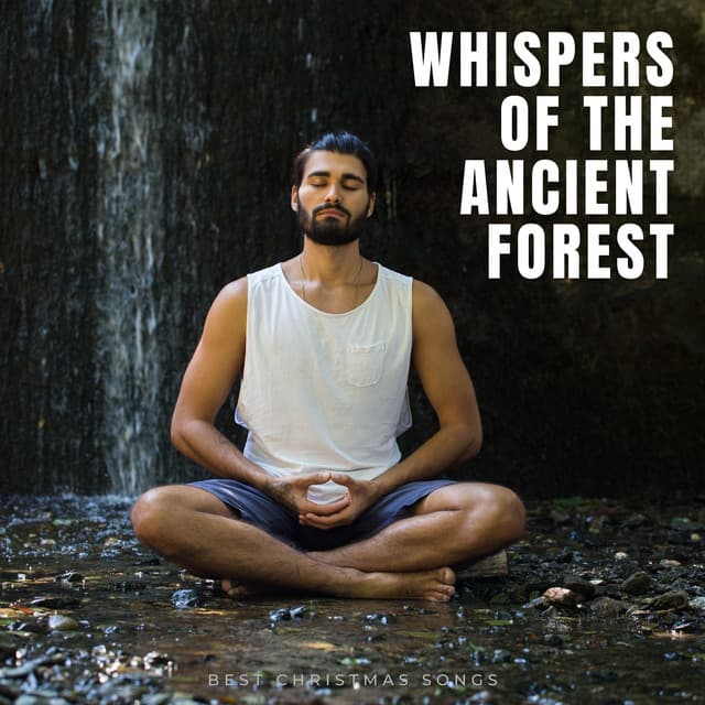Whispers of the Ancient Forest - Meditation Masters