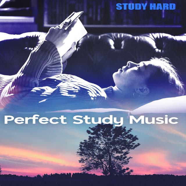 Perfect Study Music - Study Hard