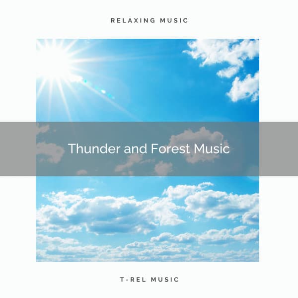 Thunder and Forest Music - Calm Rain Sounds