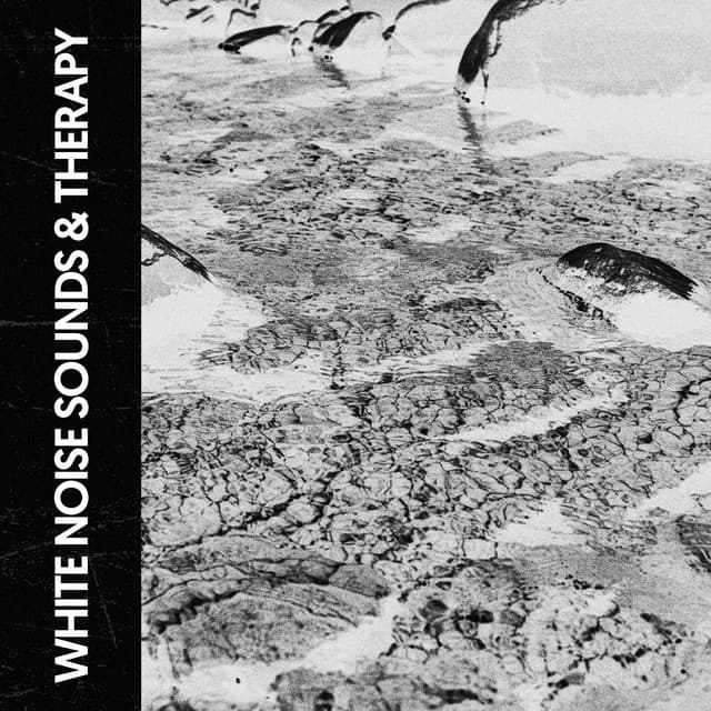 White Noise Sounds & Therapy: Zen Serenity of Nature - Solfeggio Frequencies 528Hz