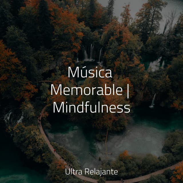 Música Memorable | Mindfulness - Meditación Interna