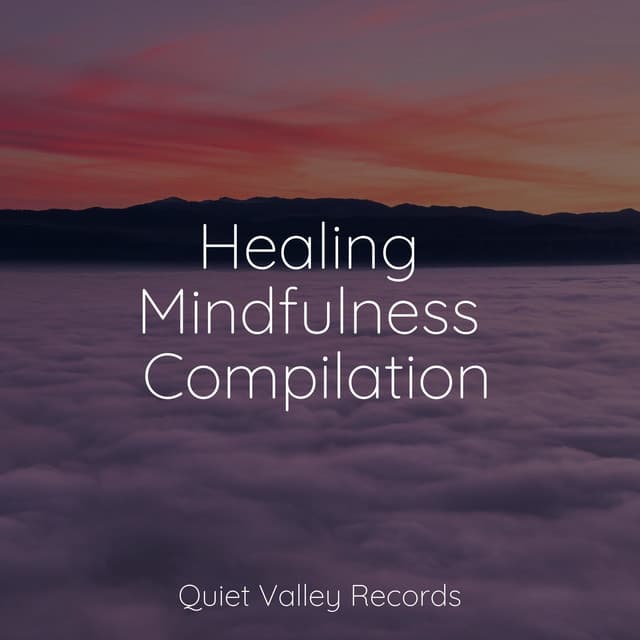 Healing Mindfulness Compilation - Instrumental