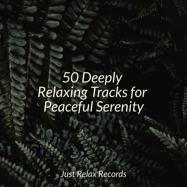 50 Deeply Relaxing Tracks for Peaceful Serenity - Meditación Guiada