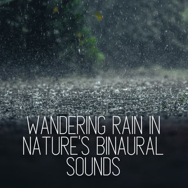 Wandering Rain in Nature's Binaural Sounds - Binaural Beats MT