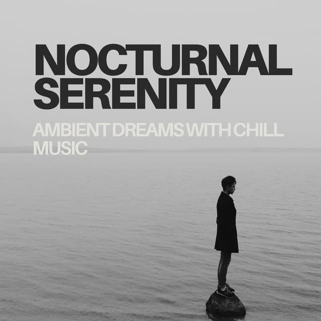 Nocturnal Serenity: Ambient Dreams with Chill Music - Silent Night Music