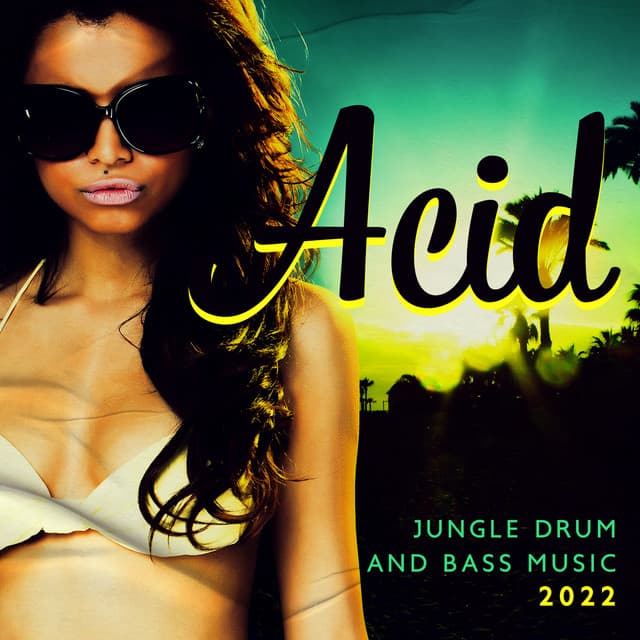 Acid: Jungle Drum and Bass Music 2022, UK DnB Special Edition Collection - Deep Chillout Music Masters