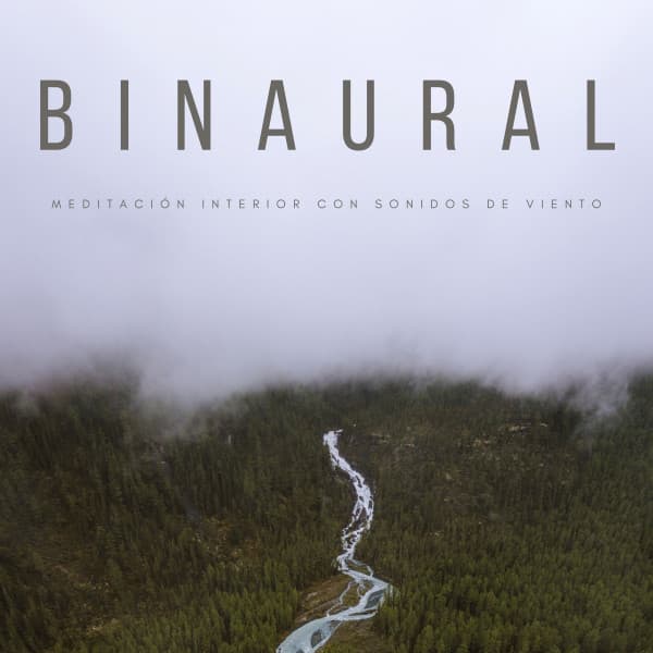 Binaural: Meditación Interior Con Sonidos De Viento - Latidos Binaurales Puros