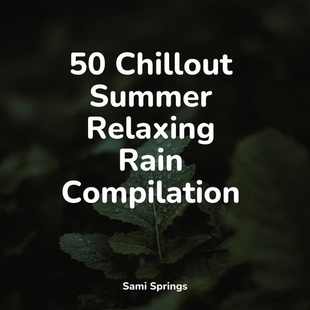 50 Chillout Summer Relaxing Rain Compilation - Entspannungsmusik Oase
