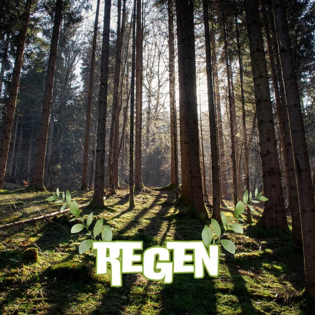 Gentle Rain Therapy for Stress Relief - Regengeräusche