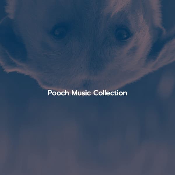Pooch Music Collection - Vintage Cafe Vintage
