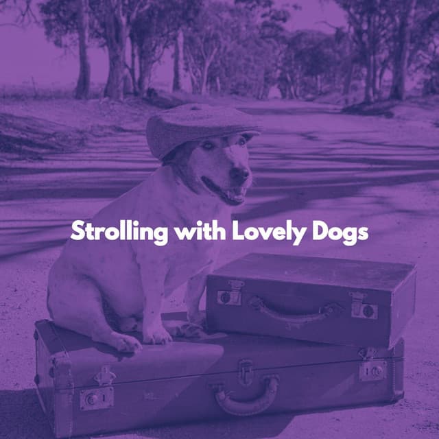 Strolling with Lovely Dogs - Musica para Perros