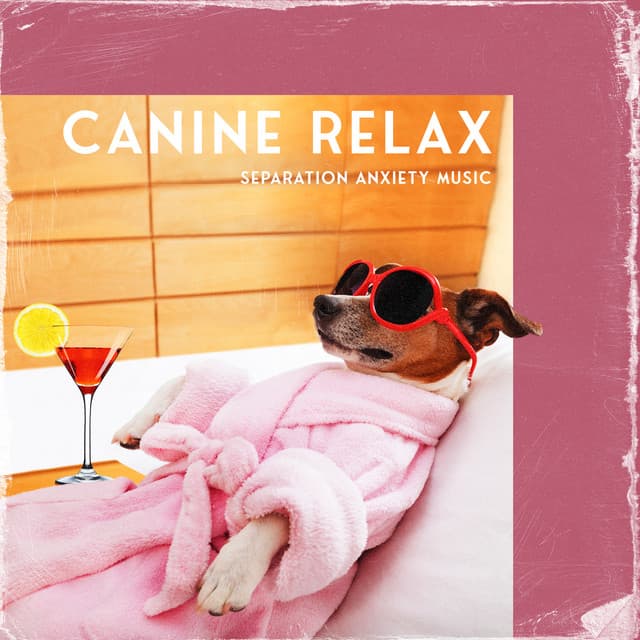 Canine Stillness - Ayurveda Zen