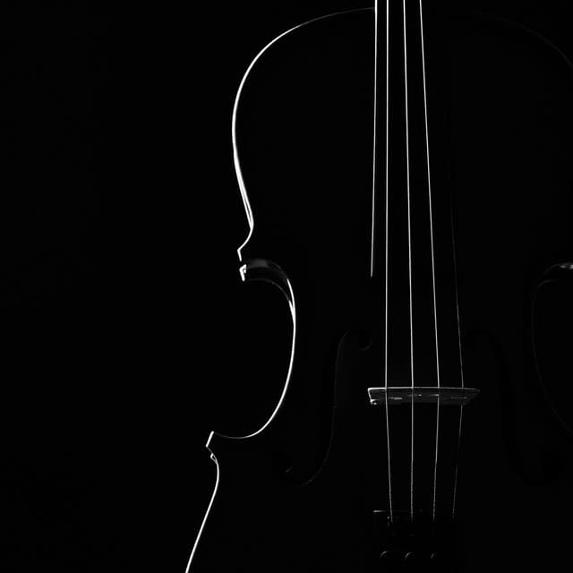 Symphony of Softness: Orchestra Calm - Charles Anderson