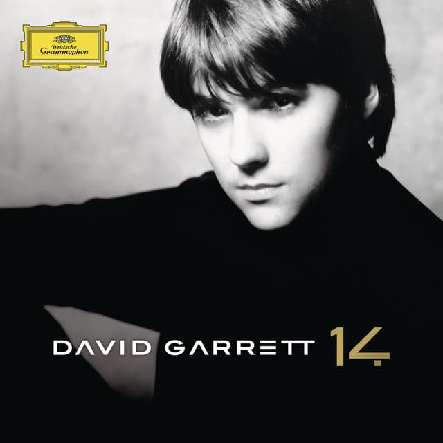 14 - David Garrett