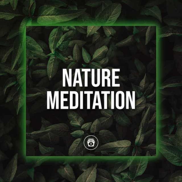 Nature Meditation - Rain Recorders
