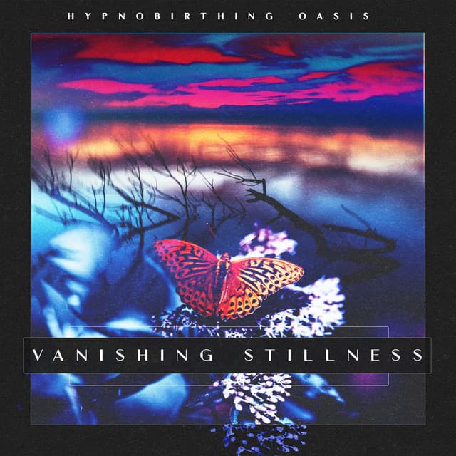Vanishing Stillness - Hypnobirthing Oasis