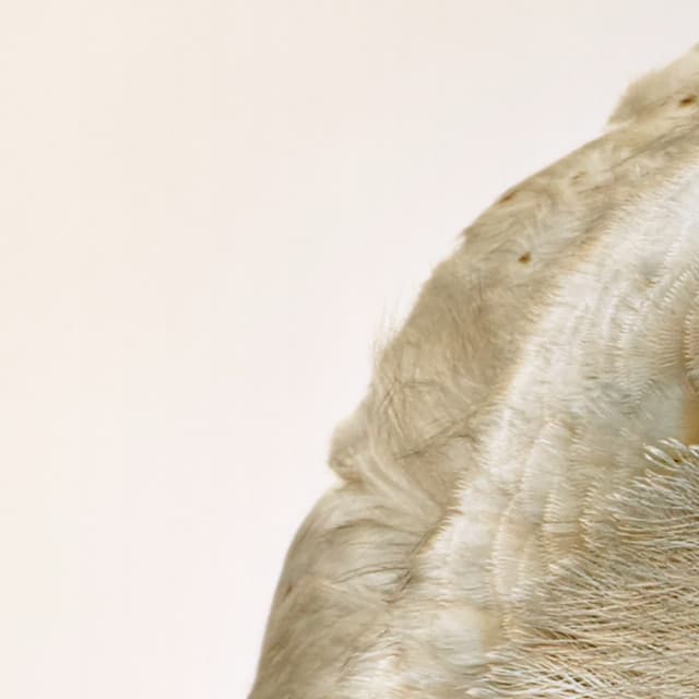 365 Complete Works 11 - Aidan O'Rourke