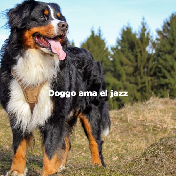 Doggo ama el jazz - Romantic Dinner Table Music